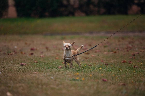 Wie kann man erfolgreich in internationale ImmobilienmÃ¤rkte investieren?